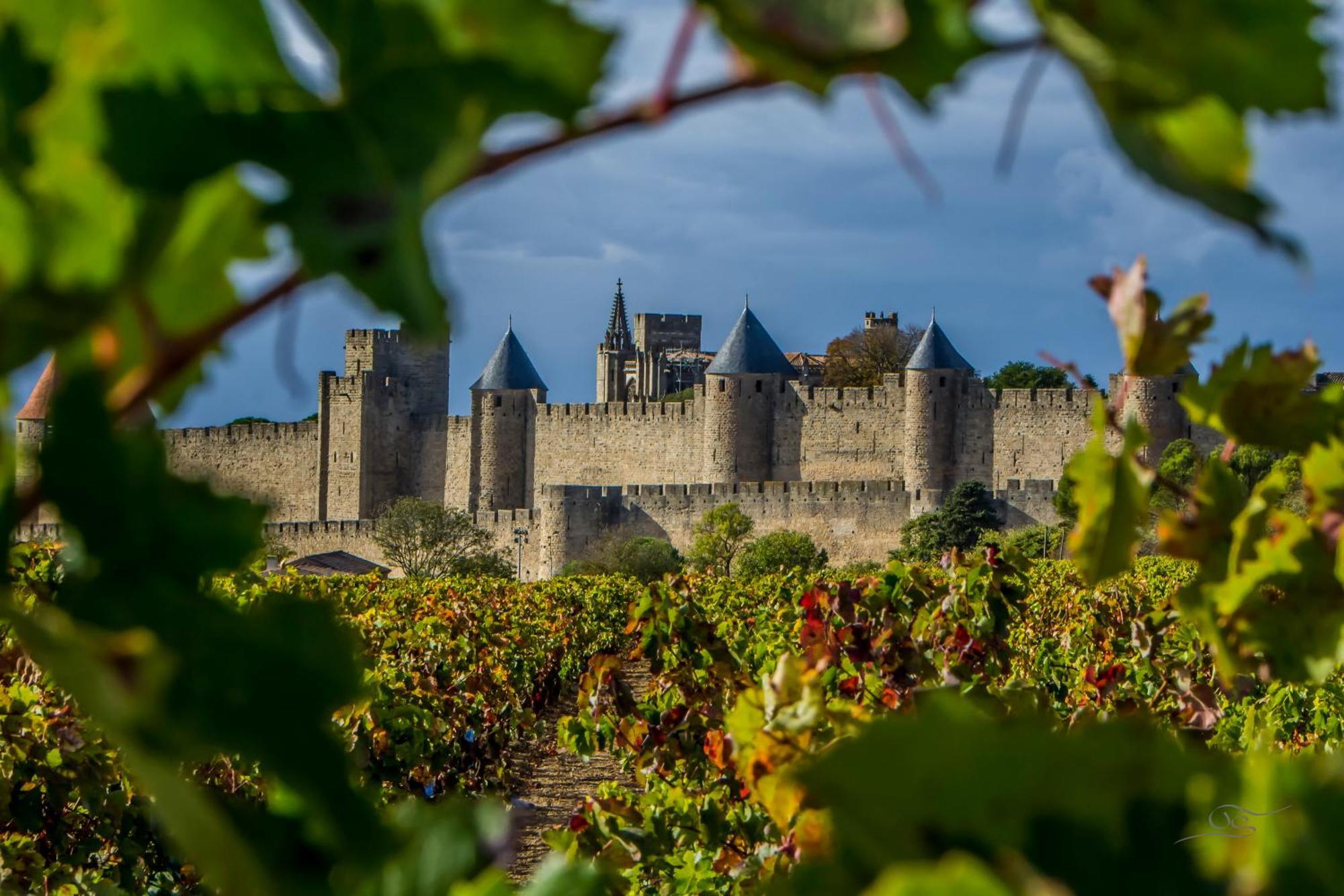 Maison Cantalauze - Pays Cathare - Carcassonne - Canal Du Midi Trebes Luaran gambar